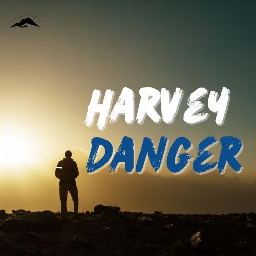 Harvey Danger Square Callout