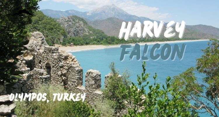 A Travel Guide For Visiting Olympos, Turkey