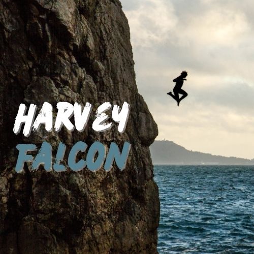 Harvey Falcon Square