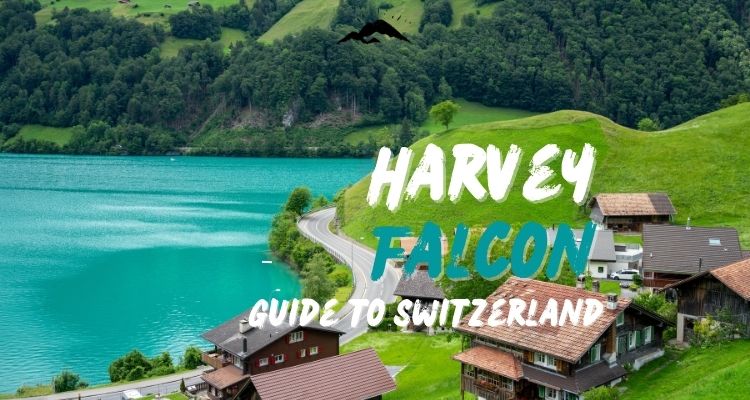 The Harvey Falcon Guide to Visiting Switzerland