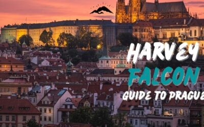 Harvey Falcon Visits Prague