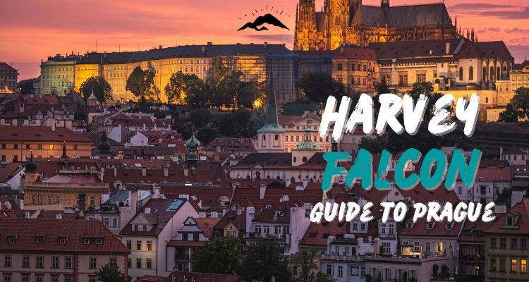 Harvey Falcon Visits Prague